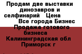 Продам две выставки динозавров и селфинарий › Цена ­ 7 000 000 - Все города Бизнес » Продажа готового бизнеса   . Калининградская обл.,Приморск г.